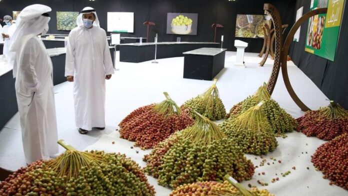 مهرجان ليوا للرطب ينطلق بالظفرة خلال الفترة من 16 حتى 24 يوليو الجاري