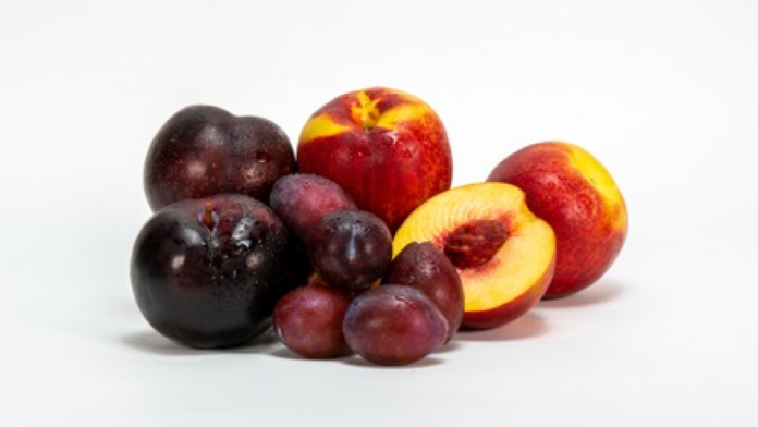 صادرات الفاكهة الحجرية التشيلية إلى الصين تحافظ على زخم قوي