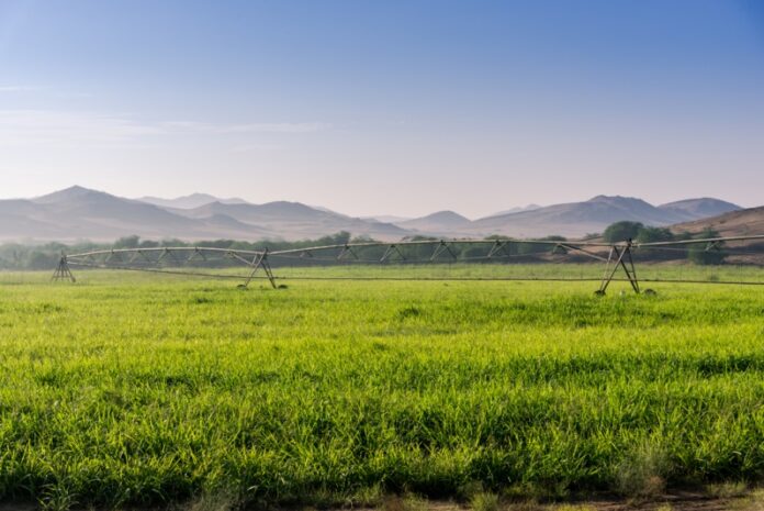 المملكة تدخل موسوعة جينيس برقم قياسي جديد .. ما القصة؟